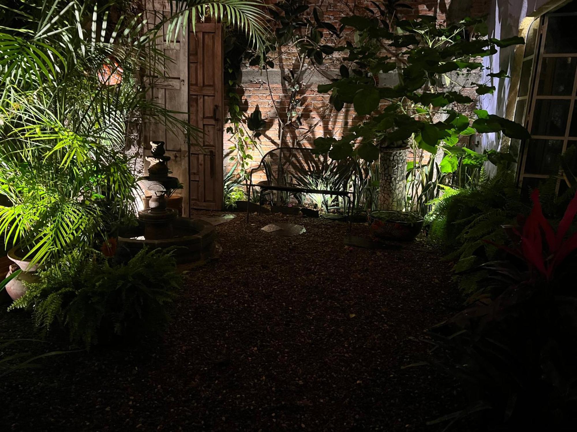 סאן מיגל דה אלנדה Boutique Hotel Casa Camellia מראה חיצוני תמונה