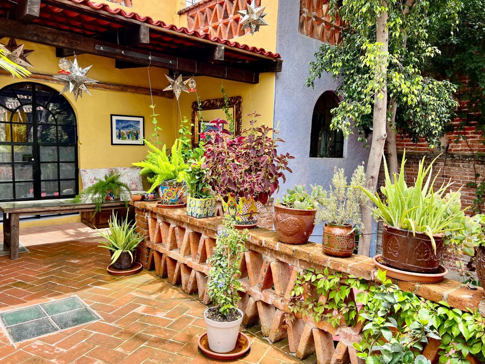סאן מיגל דה אלנדה Boutique Hotel Casa Camellia מראה חיצוני תמונה