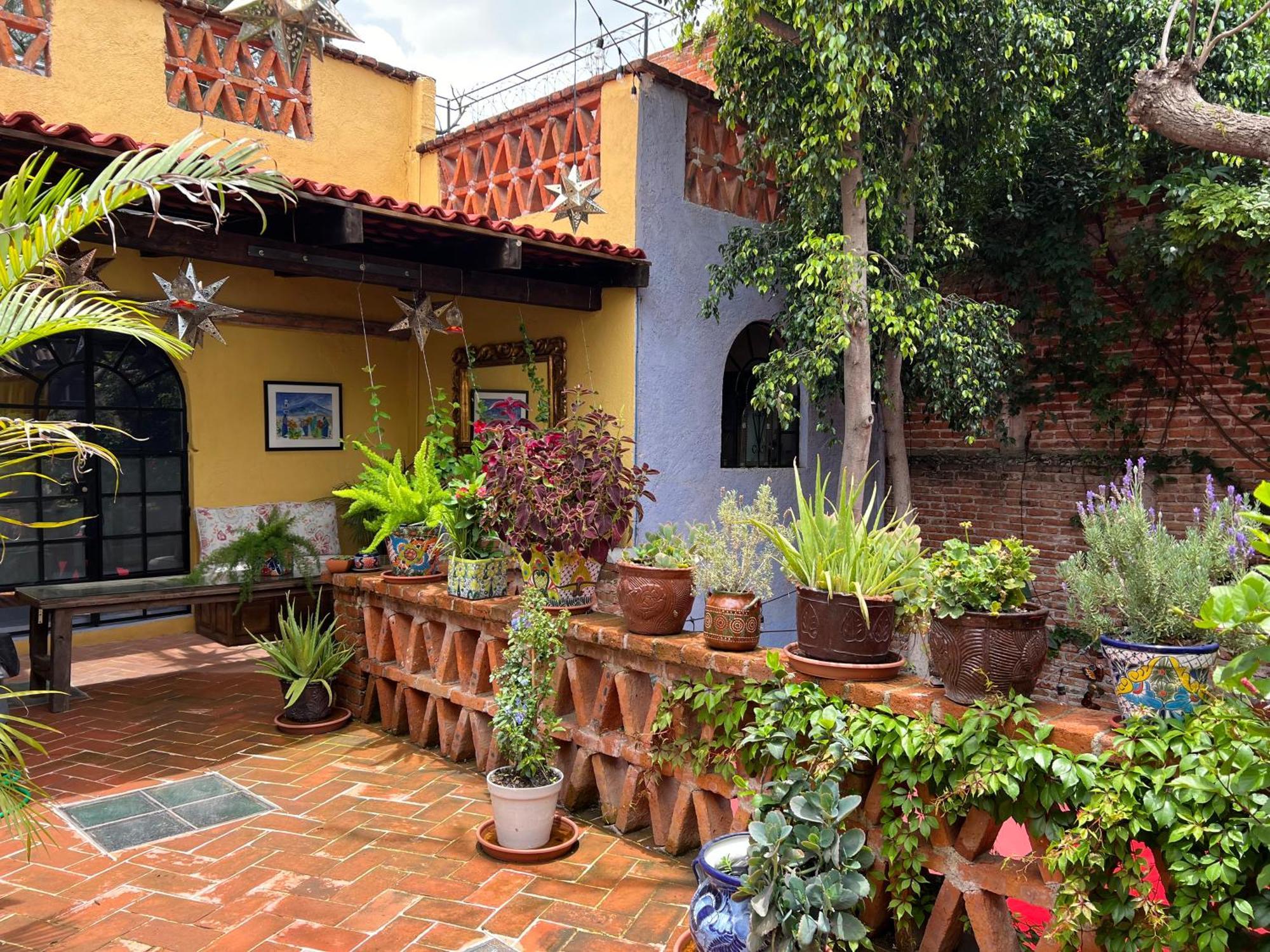 סאן מיגל דה אלנדה Boutique Hotel Casa Camellia מראה חיצוני תמונה